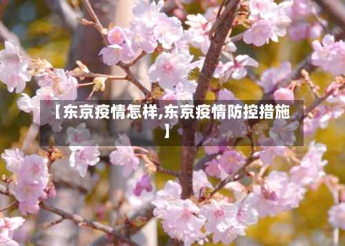 【东京疫情怎样,东京疫情防控措施】-第2张图片