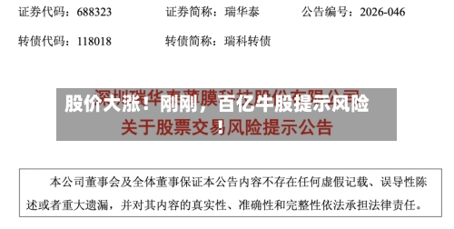 股价大涨！刚刚	，百亿牛股提示风险！-第2张图片