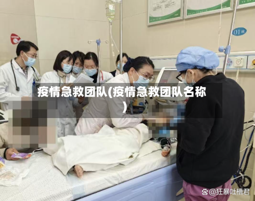 疫情急救团队(疫情急救团队名称)-第2张图片