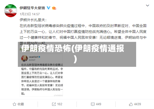 伊朗疫情恐怖(伊朗疫情通报)-第2张图片