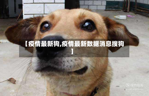 【疫情最新狗,疫情最新数据消息搜狗】