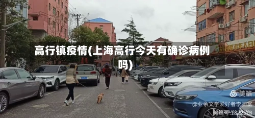 高行镇疫情(上海高行今天有确诊病例吗)