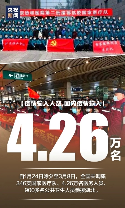 【疫情输入人数,国内疫情输入】