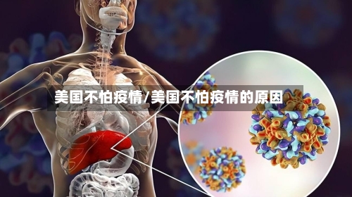 美国不怕疫情/美国不怕疫情的原因-第2张图片