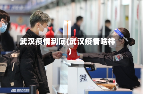 武汉疫情到底(武汉疫情啥样)-第2张图片