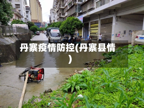 丹寨疫情防控(丹寨县情)