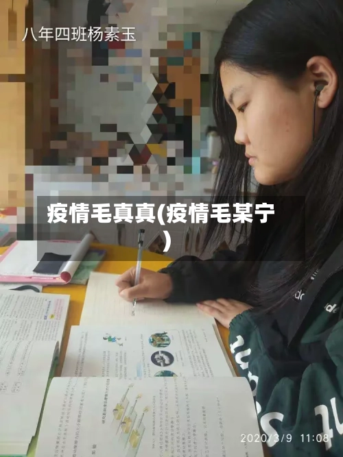 疫情毛真真(疫情毛某宁)