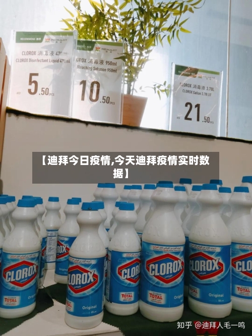 【迪拜今日疫情,今天迪拜疫情实时数据】-第2张图片