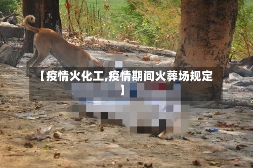 【疫情火化工,疫情期间火葬场规定】-第2张图片