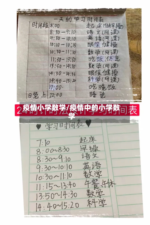 疫情小学数学/疫情中的小学数学-第2张图片