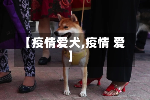 【疫情爱犬,疫情 爱】-第2张图片