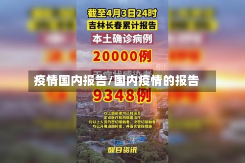 疫情国内报告/国内疫情的报告