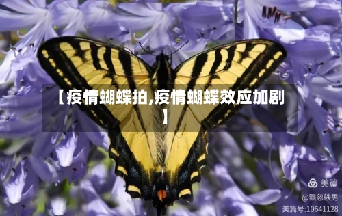 【疫情蝴蝶拍,疫情蝴蝶效应加剧】-第3张图片