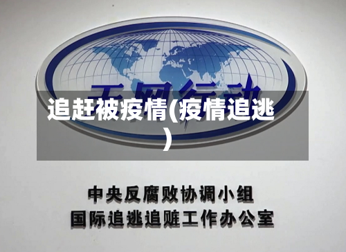 追赶被疫情(疫情追逃)