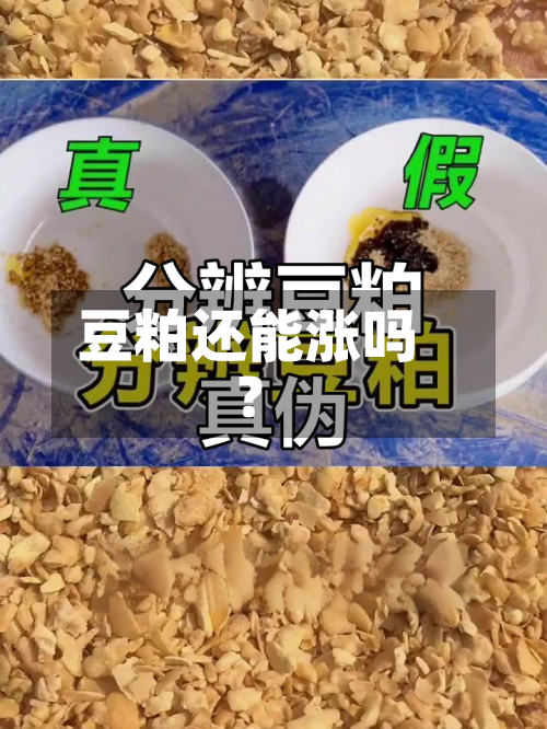 豆粕还能涨吗？-第3张图片