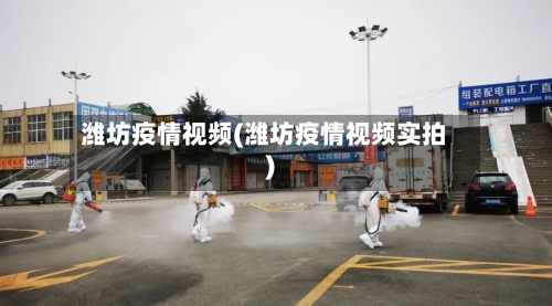 潍坊疫情视频(潍坊疫情视频实拍)
