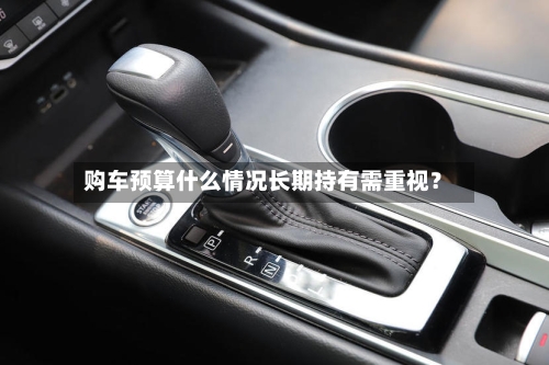 购车预算什么情况长期持有需重视?-第2张图片