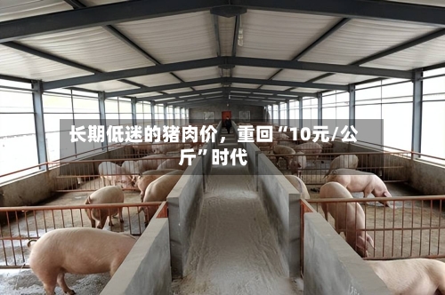 长期低迷的猪肉价，重回“10元/公斤”时代-第3张图片