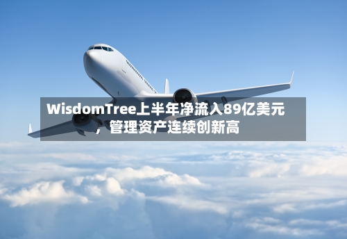 WisdomTree上半年净流入89亿美元，管理资产连续创新高-第3张图片