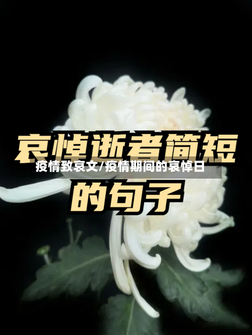 疫情致哀文/疫情期间的哀悼日-第2张图片