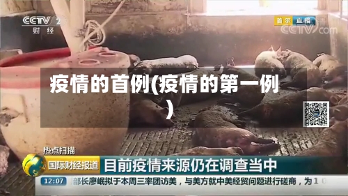 疫情的首例(疫情的第一例)