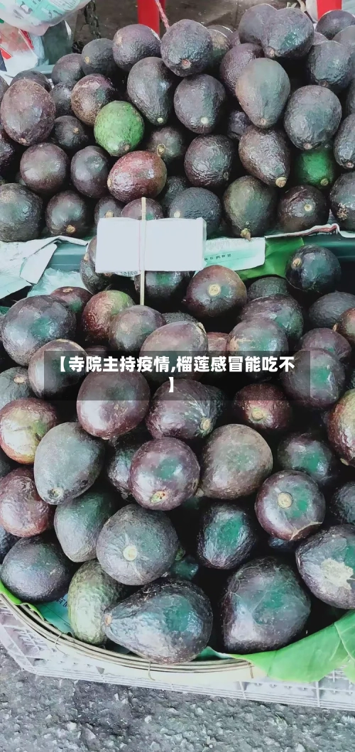 【寺院主持疫情,榴莲感冒能吃不】