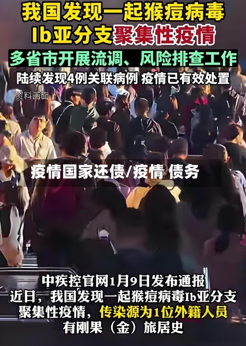 疫情国家还债/疫情 债务-第3张图片
