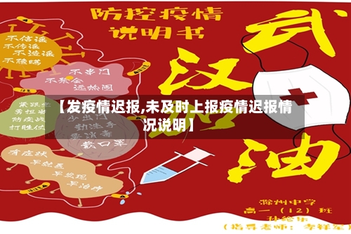 【发疫情迟报,未及时上报疫情迟报情况说明】