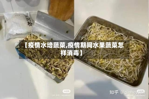 【疫情水培蔬菜,疫情期间水果蔬菜怎样消毒】-第2张图片