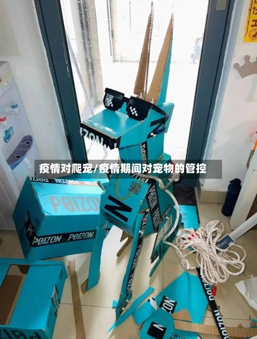 疫情对爬宠/疫情期间对宠物的管控-第2张图片