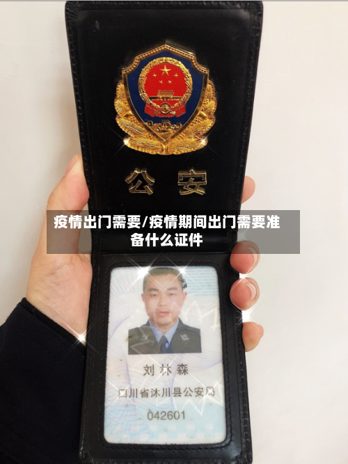 疫情出门需要/疫情期间出门需要准备什么证件-第2张图片