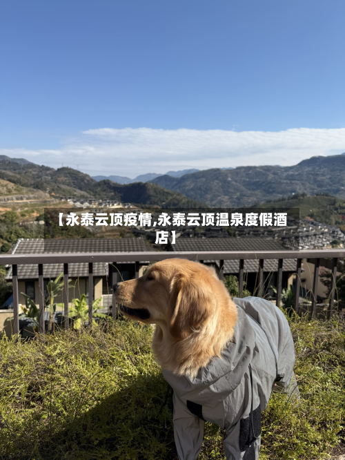 【永泰云顶疫情,永泰云顶温泉度假酒店】