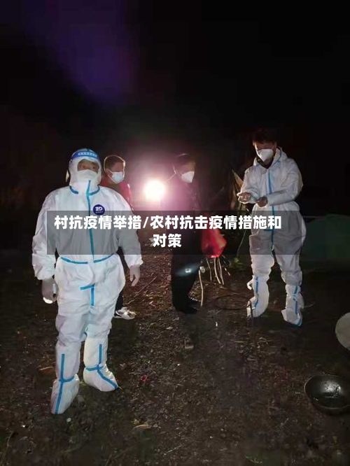 村抗疫情举措/农村抗击疫情措施和对策