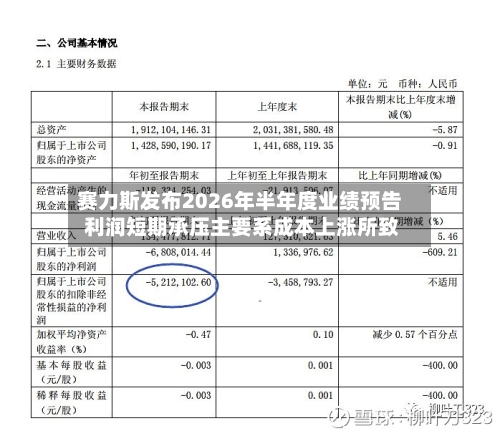赛力斯发布2026年半年度业绩预告 利润短期承压主要系成本上涨所致
