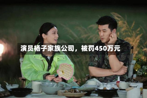 演员杨子家族公司，被罚450万元