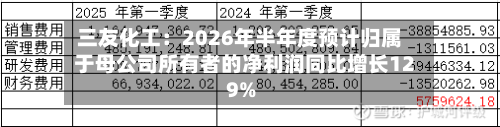三友化工：2026年半年度预计归属于母公司所有者的净利润同比增长129%-第2张图片