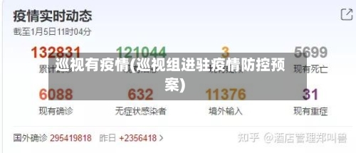 巡视有疫情(巡视组进驻疫情防控预案)