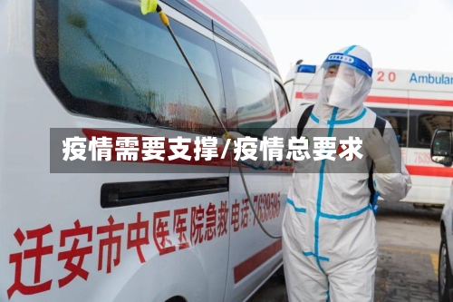 疫情需要支撑/疫情总要求-第3张图片