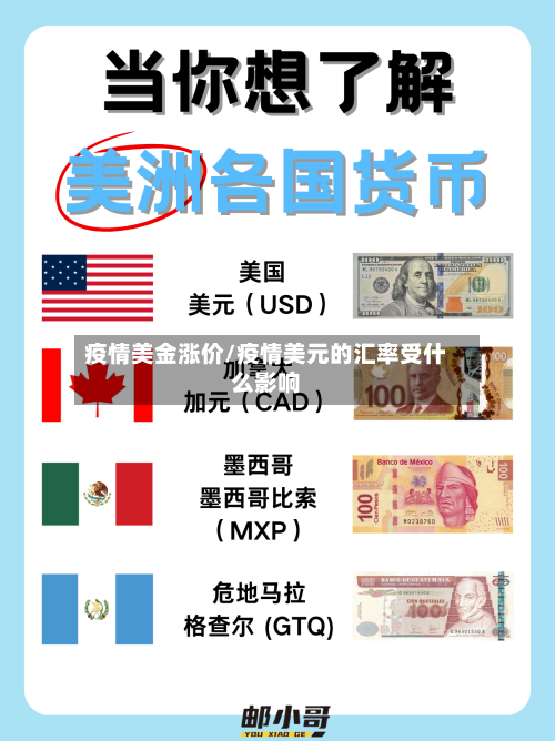 疫情美金涨价/疫情美元的汇率受什么影响