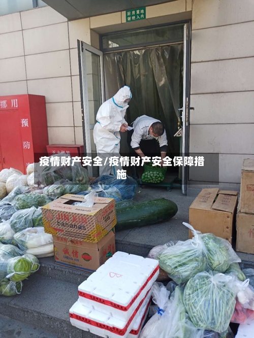 疫情财产安全/疫情财产安全保障措施