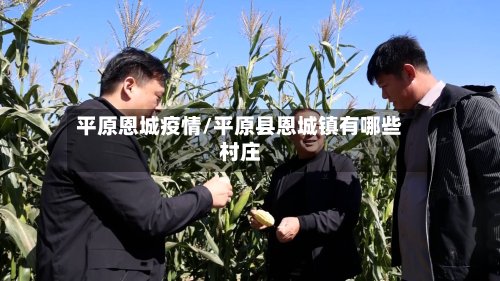 平原恩城疫情/平原县恩城镇有哪些村庄-第3张图片