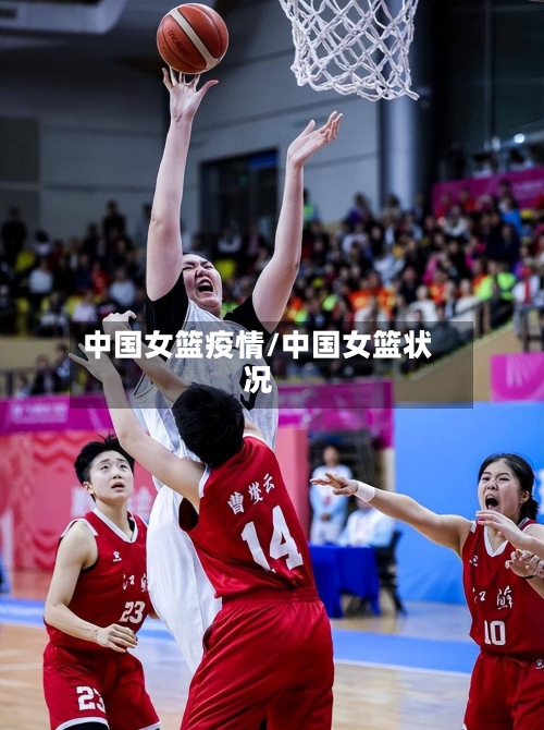 中国女篮疫情/中国女篮状况