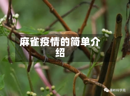 麻雀疫情的简单介绍-第2张图片