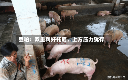 豆粕：双重利好托底	，上方压力犹存-第2张图片