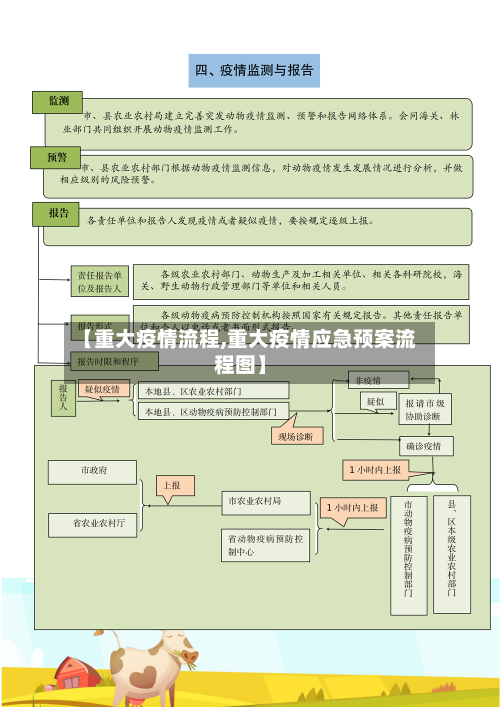 【重大疫情流程,重大疫情应急预案流程图】-第2张图片
