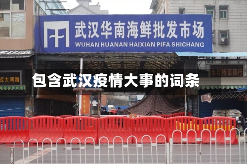 包含武汉疫情大事的词条-第3张图片