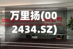 万里扬(002434.SZ)：预计上半年净利润同比下降71.07%～74.69%