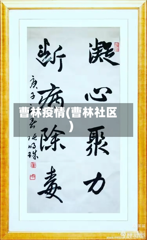 曹林疫情(曹林社区)