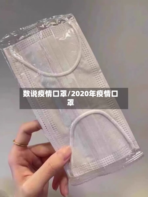 数说疫情口罩/2020年疫情口罩-第2张图片