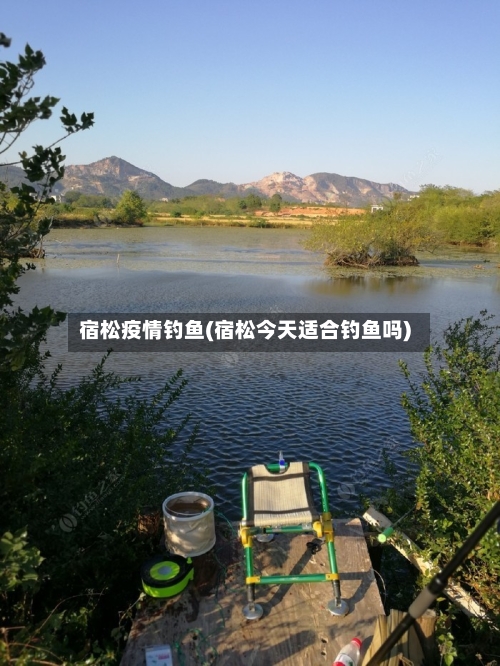 宿松疫情钓鱼(宿松今天适合钓鱼吗)-第3张图片